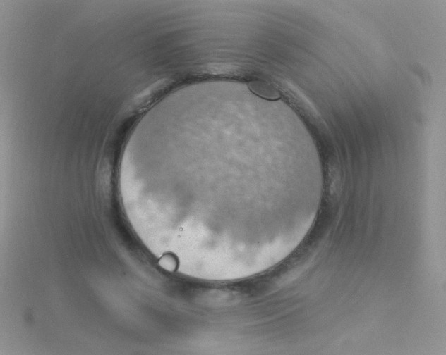 X0000115030542200911231114