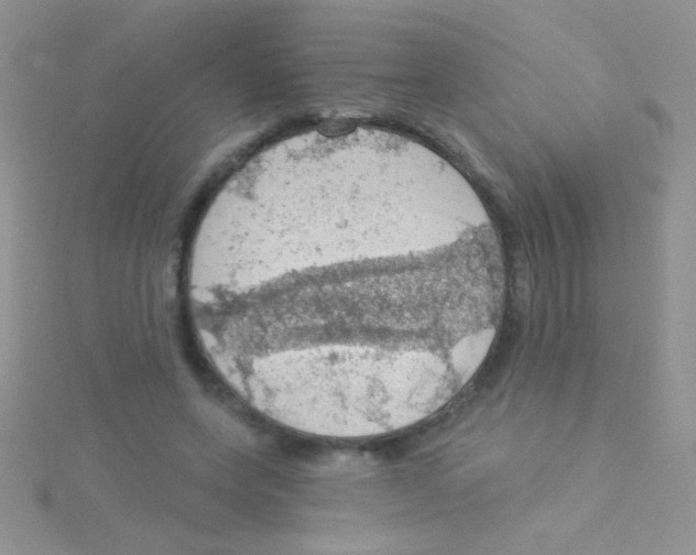 X0000115030543200911231114