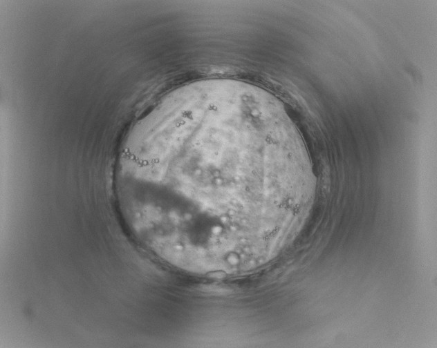 X0000115030545200911231114