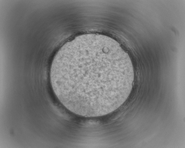 X0000115030546200911231114