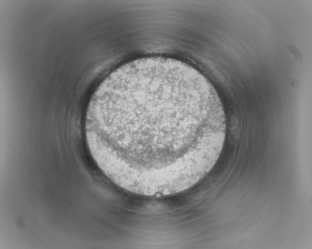 X0000115030547200911231114