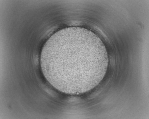 X0000115030549200911231115