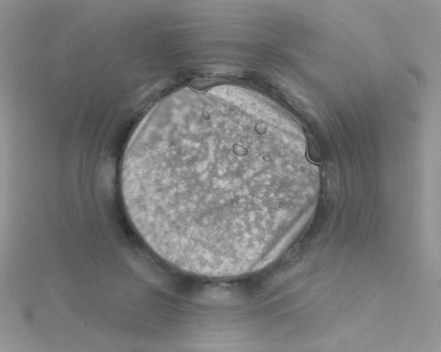 X0000115030550200911231115