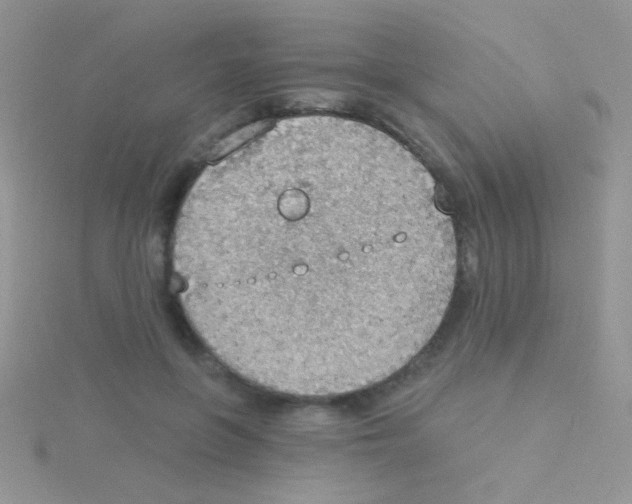 X0000115030551200911231115