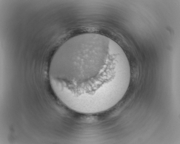 X0000115030553200911231115