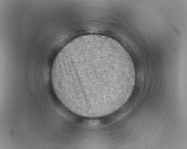 X0000115030554200911231115