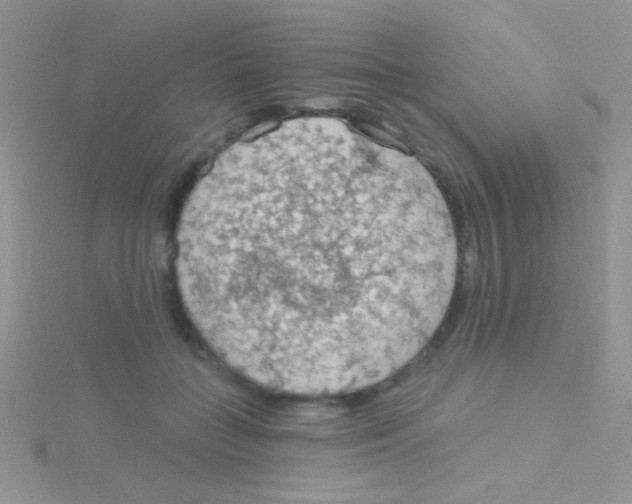 X0000115030555200911231115