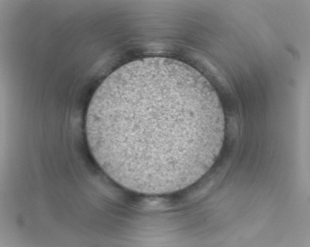 X0000115030557200911231115