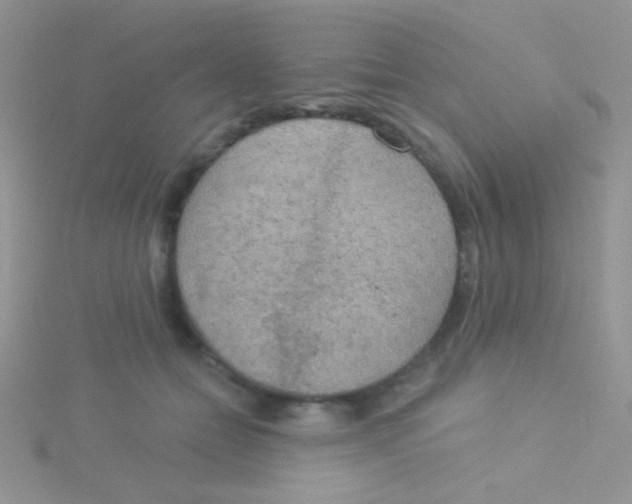 X0000115030558200911231115