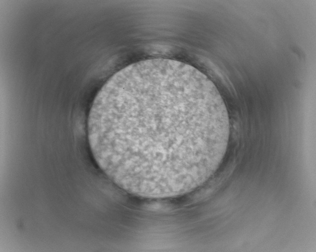 X0000115030561200911231115