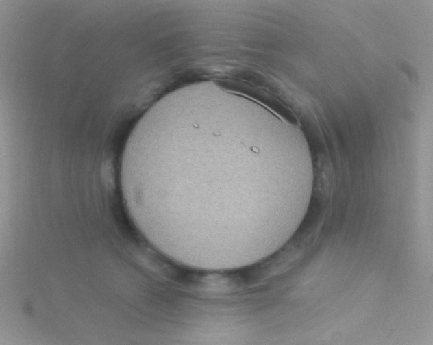 X0000115030562200911231115