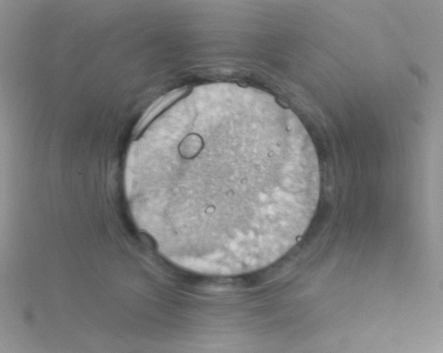 X0000115030563200911231115