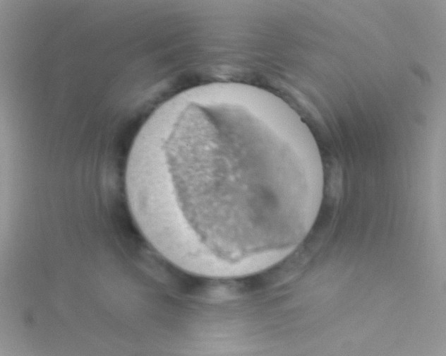 X0000115030569200911231115