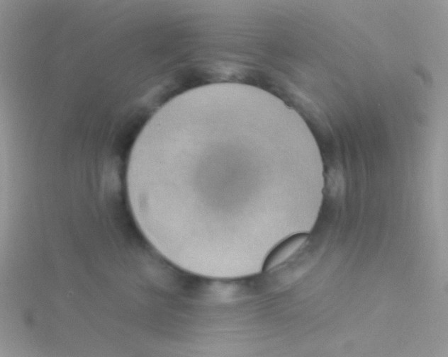 X0000115030570200911231115