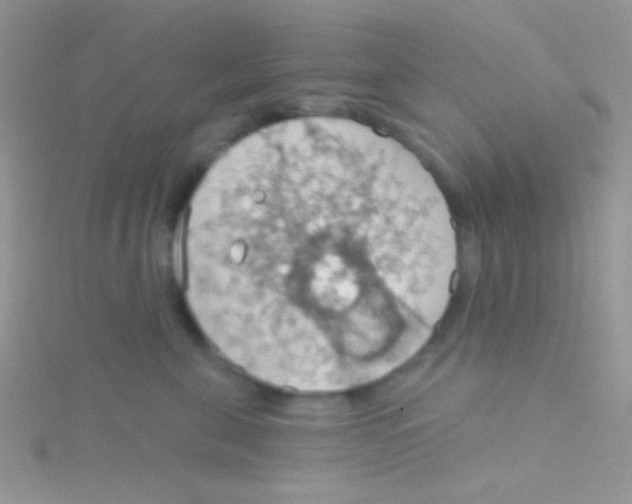 X0000115030571200911231115