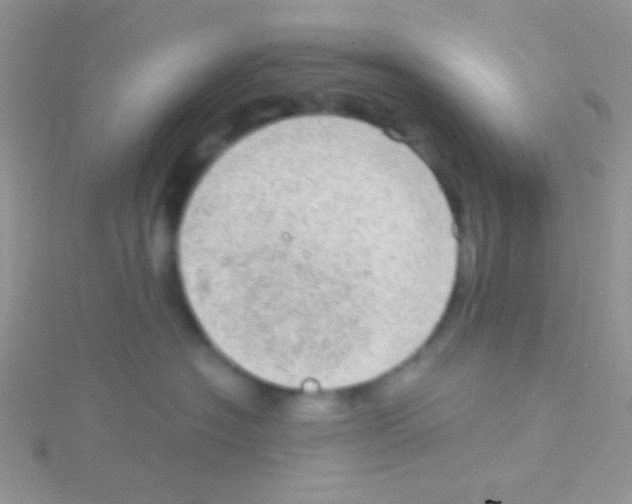 X0000115030574200911231115