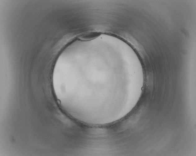 X0000115030577200911231114