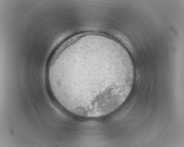 X0000115030578200911231114