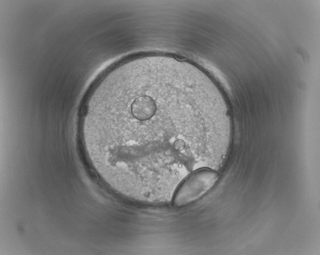 X0000115030580200911231114