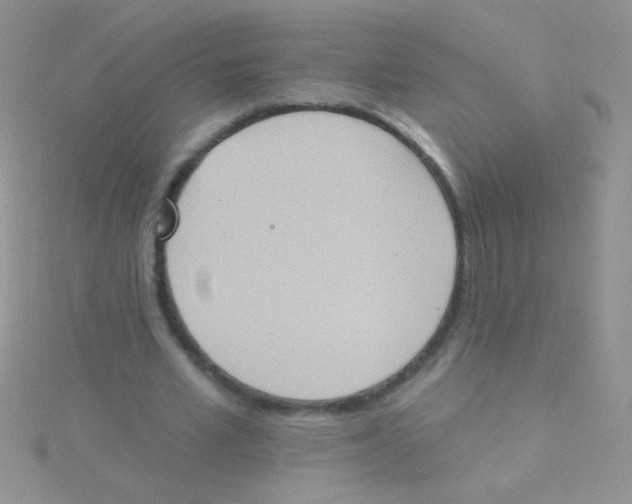 X0000115030581200911231114