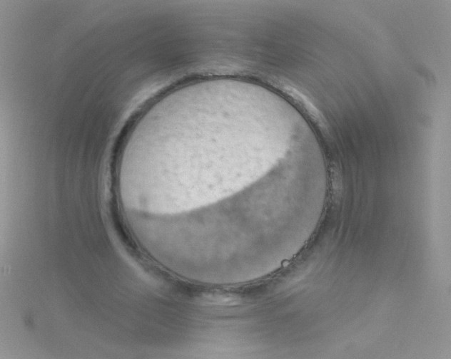 X0000115030582200911231114