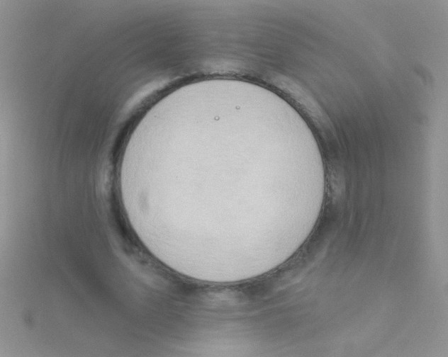 X0000115030583200911231114