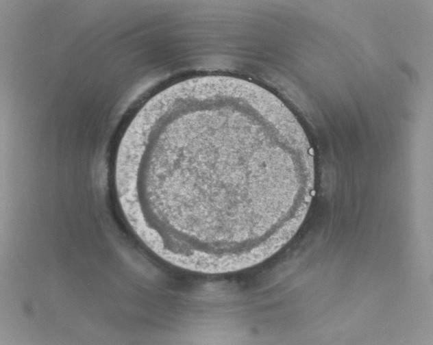 X0000115030584200911231114