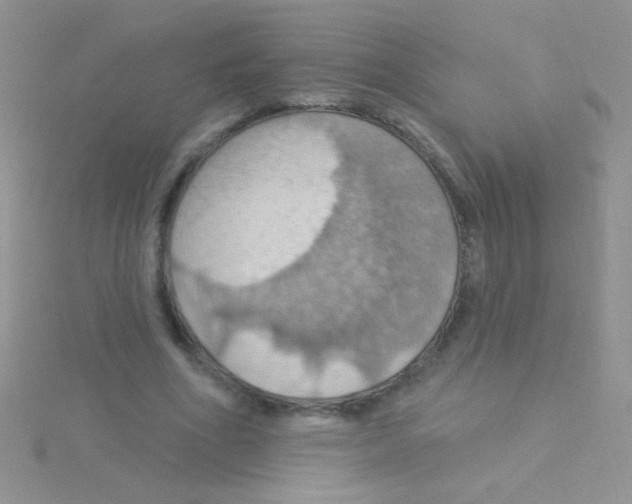 X0000115030586200911231114