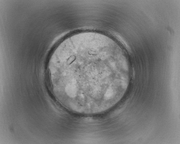 X0000115030588200911231114