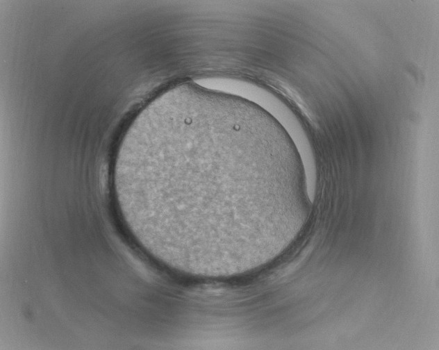 X0000115030589200911231114