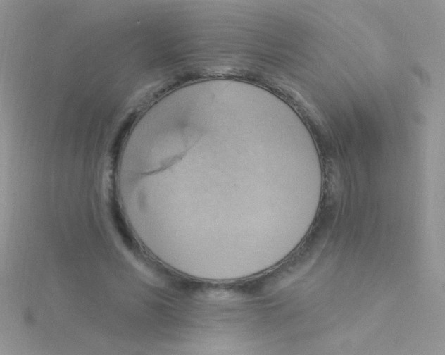 X0000115030590200911231114