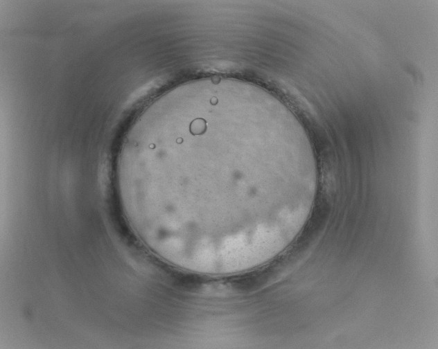 X0000115030591200911231114