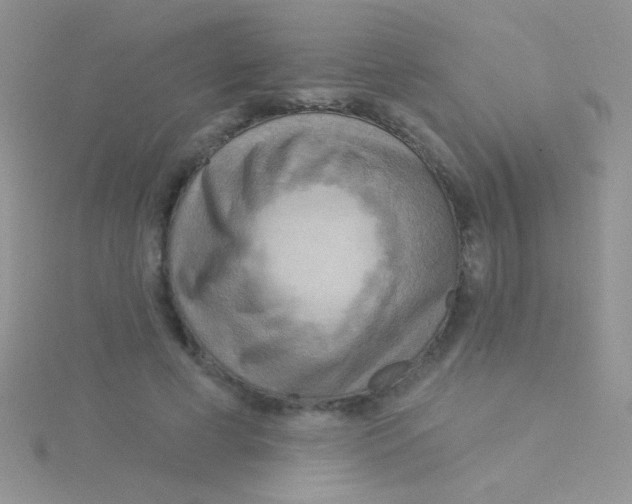 X0000115030593200911231114