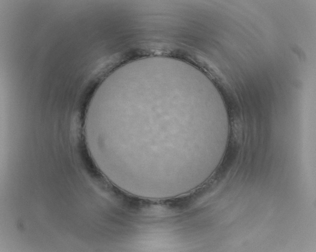 X0000115030594200911231114