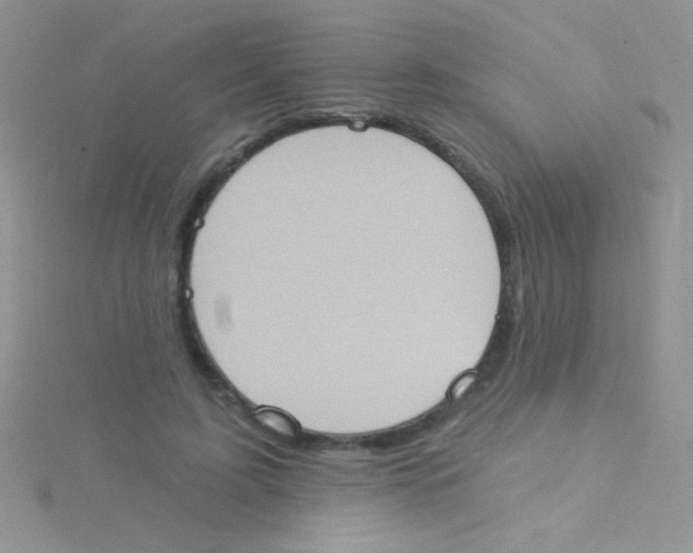 X0000115030595200911231114