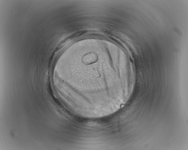 X0000115030596200911231114