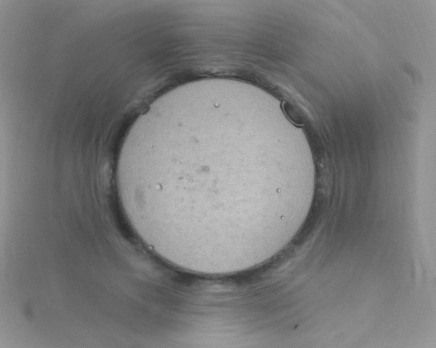 X0000115030597200911231114