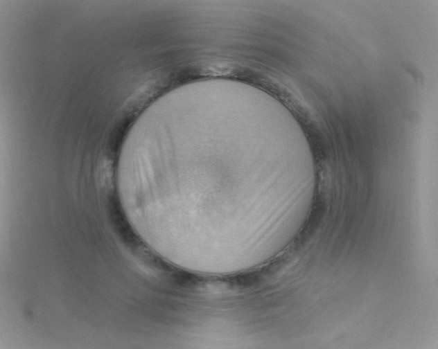 X0000115030598200911231114