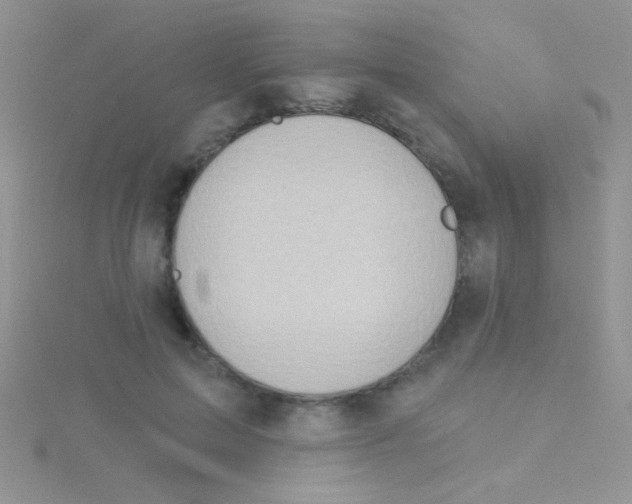 X0000115030599200911231114