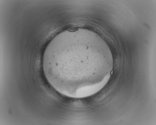 X0000115030600200911231114