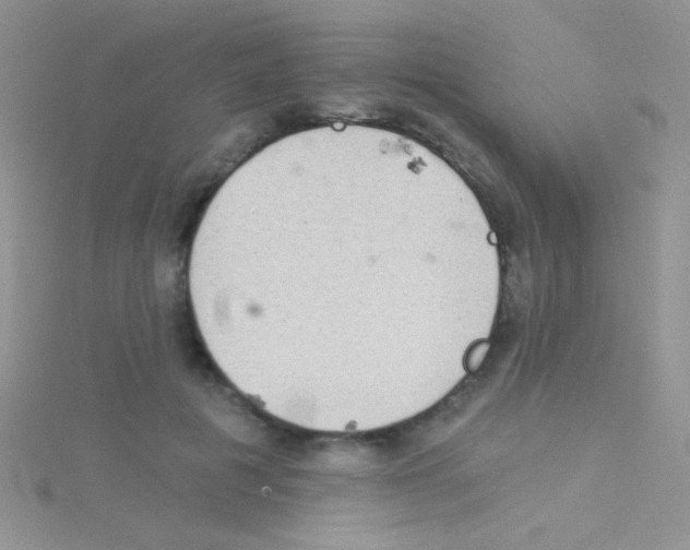 X0000115030601200911231114