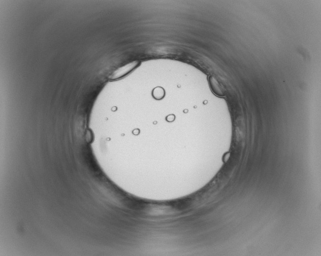 X0000115030605200911231114