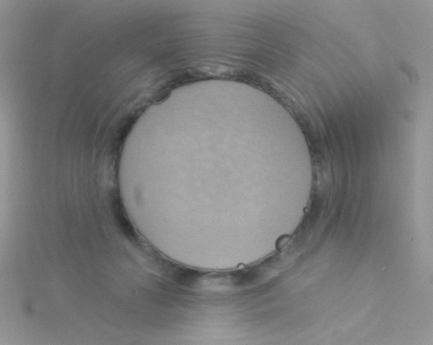 X0000115030606200911231114