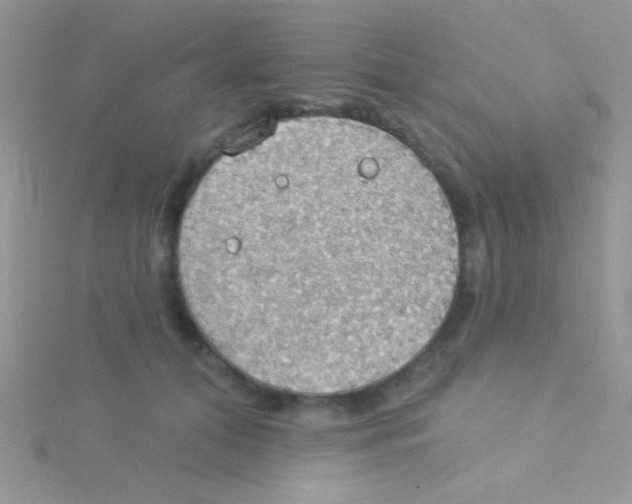 X0000115030608200911231114