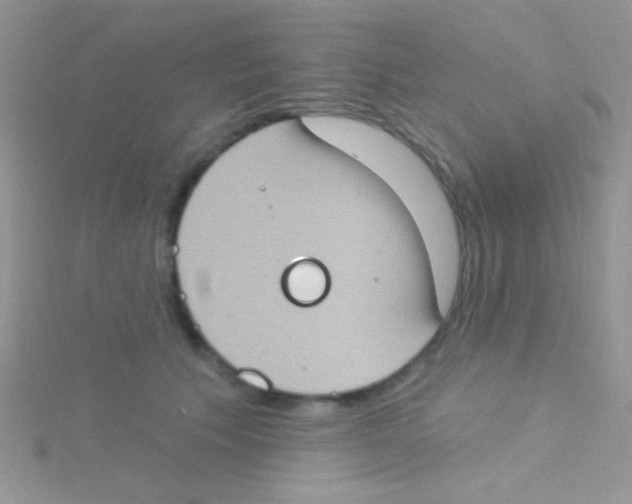 X0000115030609200911231114