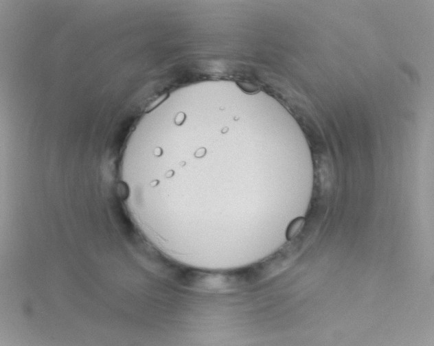 X0000115030611200911231114