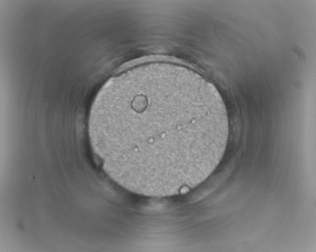 X0000115030612200911231114