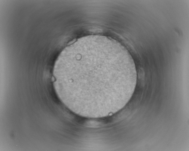 X0000115030614200911231114