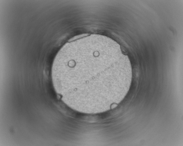 X0000115030615200911231114