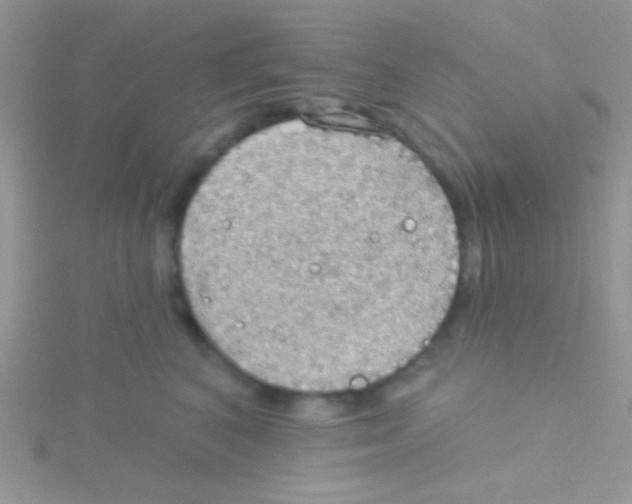 X0000115030616200911231114